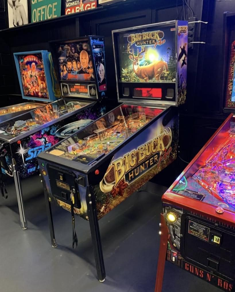 Big Buck Hunter Pro Pinball Machine - Image 2